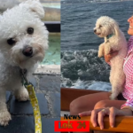 Kerry Kennedy Mourns Heartbreaking