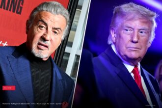 Stallone Hollywood ambassador role