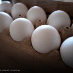 TikTok frozen egg trend